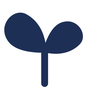 芽のイラスト